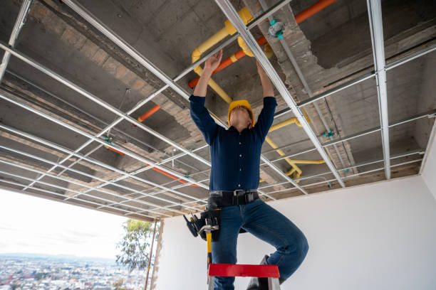 Best Local Plumber Services  in Centerville, SC